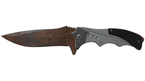 Rust Coat image