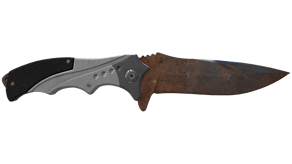 Rust Coat image