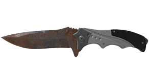 Rust Coat image