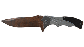Rust Coat image