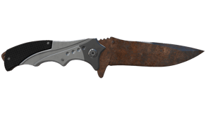 Rust Coat image