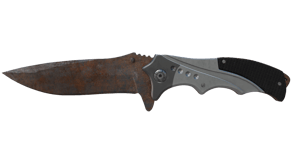 Rust Coat image