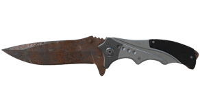 Rust Coat image