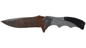 Rust Coat image