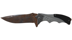 Rust Coat image