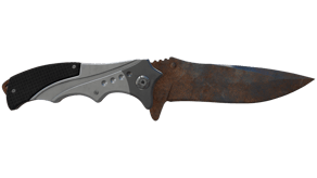 Rust Coat image