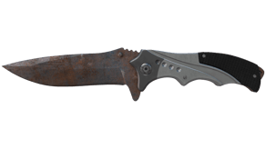 Rust Coat image