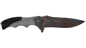 Rust Coat image