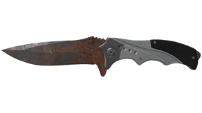 Rust Coat image