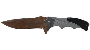 Rust Coat image