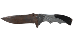 Rust Coat image
