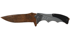 Rust Coat image