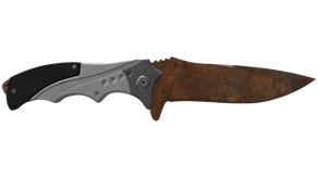 Rust Coat image