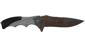 Rust Coat image