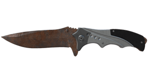 Rust Coat image