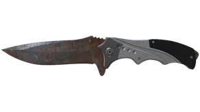 Rust Coat image