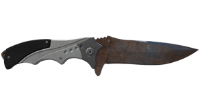 Rust Coat image