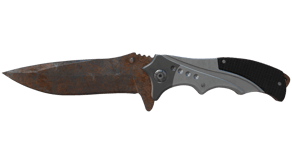 Rust Coat image