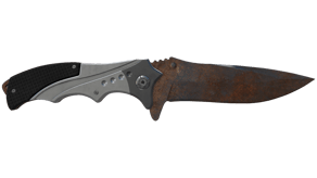 Rust Coat image