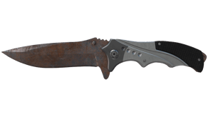 Rust Coat image