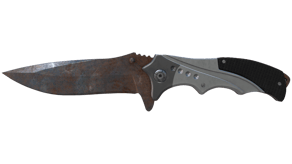 Rust Coat image