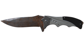 Rust Coat image