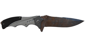 Rust Coat image