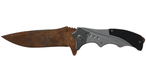 Rust Coat image
