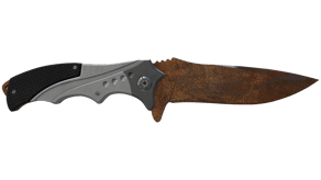 Rust Coat image