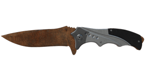 Rust Coat image