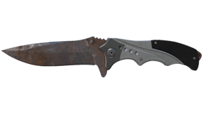Rust Coat image