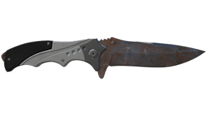 Rust Coat image