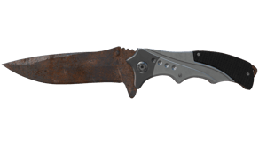 Rust Coat image
