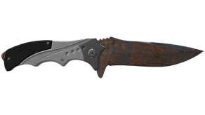 Rust Coat image