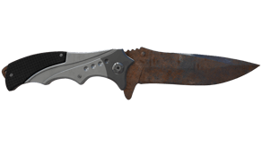 Rust Coat image