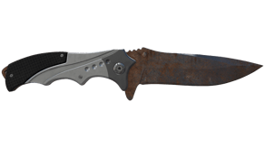 Rust Coat image