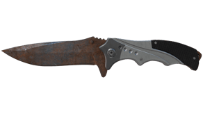 Rust Coat image