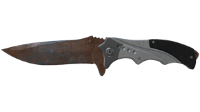 Rust Coat image