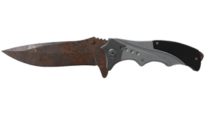 Rust Coat image