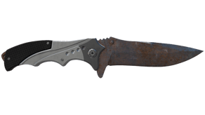 Rust Coat image