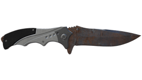 Rust Coat image