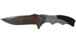 Rust Coat image