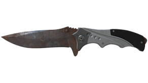 Rust Coat image