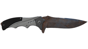 Rust Coat image