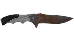 Rust Coat image