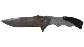 Rust Coat image