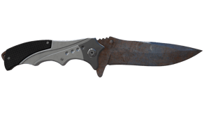 Rust Coat image