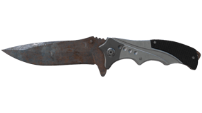 Rust Coat image