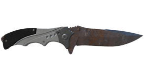 Rust Coat image