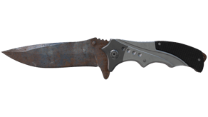 Rust Coat image